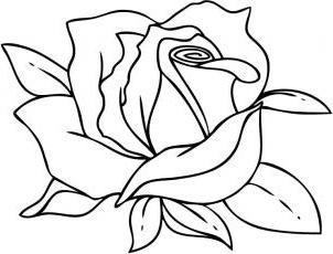 Hvordan tegne en roseblomst i faser